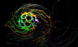 einstein general relativity_patent_ceo_review_phillip_vales